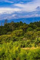 mooi berg landschap stad panorama Woud bomen natuur costa rica. foto