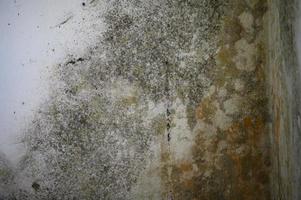grijs gietvorm en schimmel Aan de muur van de kamer, de Effecten van hoog en buitensporig vochtigheid in de kamer. foto