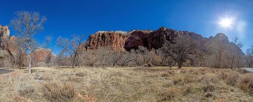 indruk van wandelen spoor naar pijnboom kreek Ravijn overzien in de Zion nationaal park foto