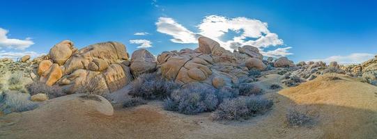 afbeelding van boog rots Oppervlakte in de joshua boom nationaal park met cactus bomen in Californië gedurende de dag foto