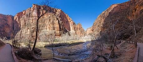 indruk van wandelen spoor naar pijnboom kreek Ravijn overzien in de Zion nationaal park foto