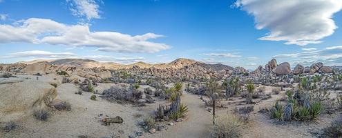 afbeelding van boog rots Oppervlakte in de joshua boom nationaal park met cactus bomen in Californië gedurende de dag foto