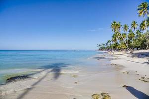 tropisch strand Aan de caraïben eiland van domiciaans republik gedurende dag foto