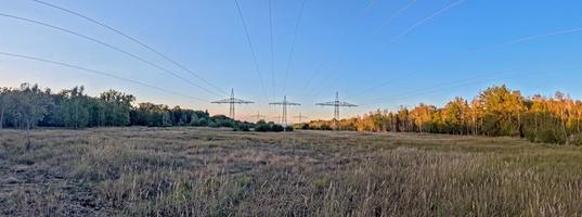 panoramisch visie van een macht lijn langs een snijdend in een Woud foto