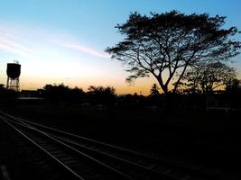 zonsondergang en silhouet van bomen en spoorweg sporen. foto