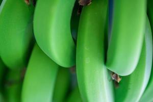 vers natuurlijk bananen voedsel achtergrond detailopname foto