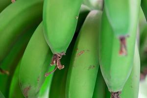 vers natuurlijk bananen voedsel achtergrond detailopname foto