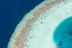 antenne visie van Maldiven toevlucht, luxe reizen bestemming. vogelstand oog visie van diep blauw zee, koraal riet, tropisch eiland. verbazingwekkend natuur visie, dar antenne landschap foto