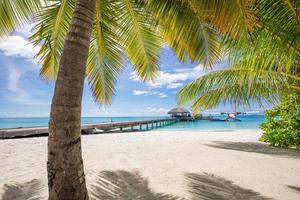 tropisch Maldiven eiland met kokosnoot palm boom, houten brug en water villa. exotisch reizen landschap. mooi zomer eiland paradijs, vredig natuur foto