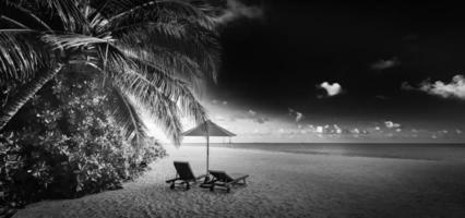 zwart en wit visie van mooi strand met palm boom bladeren, dramatisch donker lucht wit zacht zand. exotisch monochroom panorama. paar meditatie inspiratie landschap, paradijs strand rustig minimaal foto
