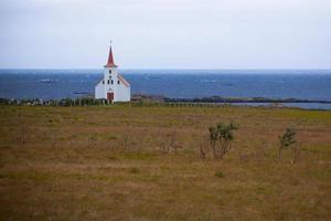 typisch landelijk IJslands kerk Bij bewolkt dag foto
