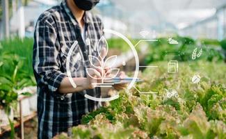 Mens handen tuinieren sla in boerderij met groei werkwijze en chemisch formule Aan groen achtergrond. met vr icoon foto