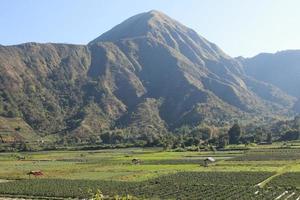 visie van de sembalun dorp van lombok, monteren rinjani, de heuvels van sembalun lombok foto