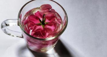 dichtbij omhoog visie van rosa chinensis bloem in glas kop gevulde met water, romantisch concept illustratie foto