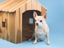 bruin kort haar- chihuahua hond zittend in voorkant van houten hond huis, geïsoleerd Aan blauw achtergrond. foto