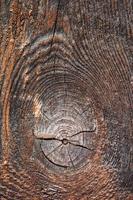 dichtbij omhoog van hout structuur met natuurlijk vezels, bord materiaal voor bouw foto