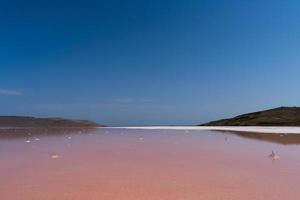 mooi landschap van een roze zout meer foto
