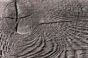 dichtbij omhoog van hout structuur met natuurlijk vezels, bord materiaal voor bouw foto