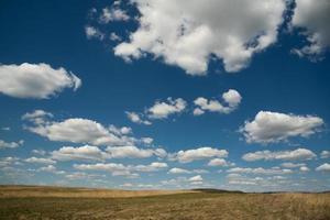 mooi landschap van blauw lucht met wolken en veld- in Oekraïne foto