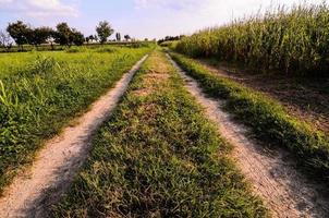 landelijk weg visie foto