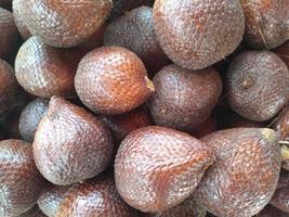 salak pondoh is een van de salak cultivars dat grotendeels groeit in de Oppervlakte van sleman regentschap, speciaal regio van Yogyakarta Indonesië Aan de hellingen van meerapi. foto