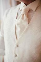 bijgesneden foto detailopname Mannen vest met wit patroon. modern zakenman