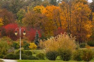 mooi herfst landschap met straat lantaarn foto