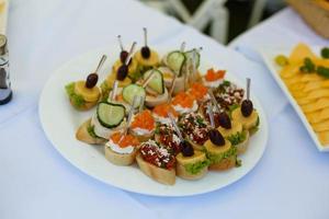 halloumi kaas en groenten gegrild spiesjes Aan bord met specerijen en kruiden dichtbij omhoog - gezond vegetarisch veganistisch eetpatroon barbecue gegrild groente eigengemaakt maaltijd foto