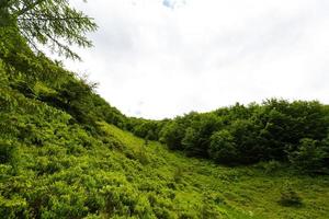 mooi zonnig dag is in berg landschap. karpaten, Oekraïne. foto