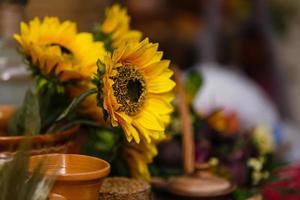 boeket van zonnebloemen in oud klei kruik. in de voorgrond takken met rijp kers Pruim foto