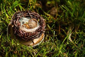 paar- van bruiloft ringen houdende in nest. bruiloft decoratie. symbool van familie, saamhorigheid en liefde foto