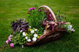 straat decoratie bloem pot met bloemen. selectief focus. foto