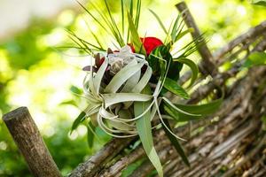 rood rozen in decoratief boeket met Kristallen Aan het foto