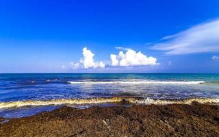 mooi caraïben strand totaal vies vuil naar zeewier probleem Mexico. foto