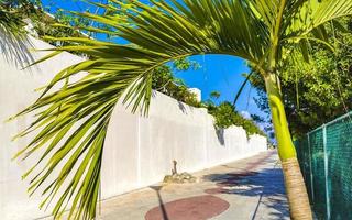 natuurlijk tropisch Mexicaans strand 88 ingang playa del carmen mexico. foto