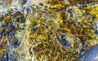 stenen rotsen koralen turkoois groen blauw water Aan strand Mexico. foto