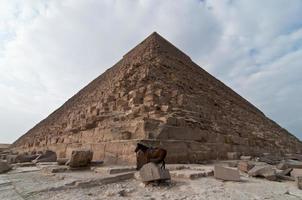 piramides van gizeh foto