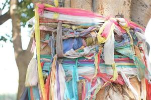 veelkleurig kleding stof verpakt in de omgeving van de boom foto
