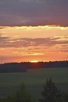 een mooi zonsondergang zon en een horizon met een Woud. een mooi veld- en een zomer rood zonsondergang. foto