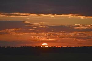 een mooi zonsondergang zon en een horizon met een Woud. een mooi veld- en een zomer rood zonsondergang. foto