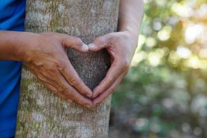 detailopname handen knuffel romp van boom en maken teken van hart vorm geven aan. concept, liefde natuur, Woud en milieu behoud. ecologie. foto