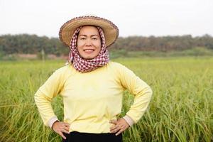 gelukkig Aziatisch vrouw boer draagt hoed, geel shirt, Thais lendendoek gedekt haar hoofd, zetten handen Aan heupen, voelt zelfverzekerd Bij rijstveld veld. concept, landbouw bezigheid, boer toenemen biologisch rijst. foto