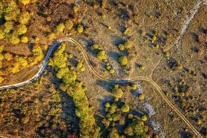 antenne top visie van dar van park herfst landschap met bomen, kleurrijk gazon, en wandelen pad foto