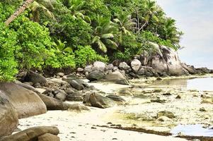 mahe Seychellen, mooi strand van anse koninklijk, palm bomen en rotsen foto