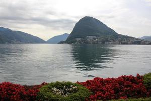 in een park Aan de kusten van meer Garda in Italië. foto