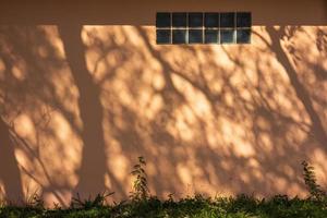 silhouet achtergrond visie van boom takken van zonlicht vallend Aan de bruin beton muur foto