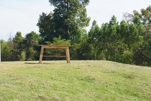 stoelen voor zittend door de gras foto