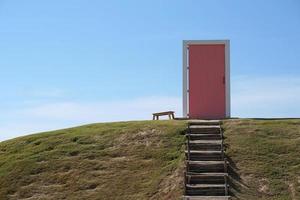 roze deur Aan groen gazon foto