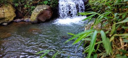 mini waterval in natuurlijk rivier- met groot rotsen en groen planten Aan de banken. foto