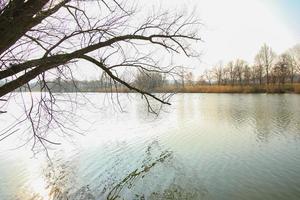 herfst natuur met bomen en rivier- water met reflectie foto